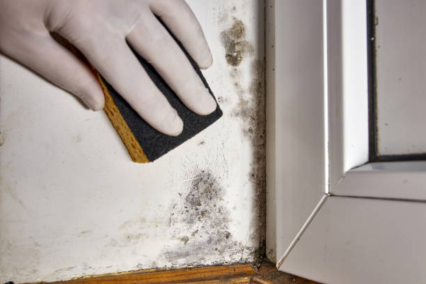 Asbestos and Lead Testing During Mold Inspection in Fairmont, NC